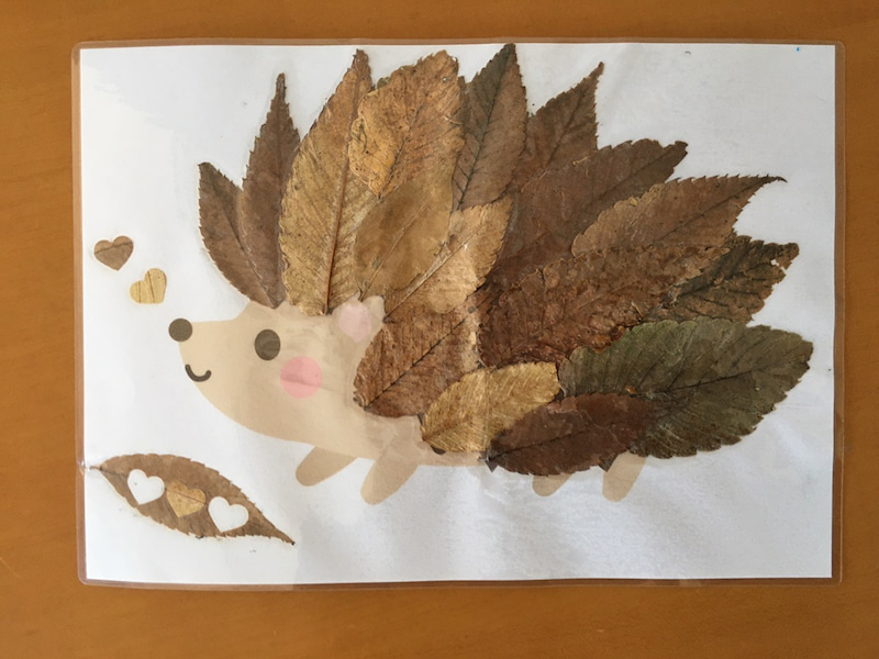 11月11日 水 Toiro東戸塚 神奈川県指定事業者toiro